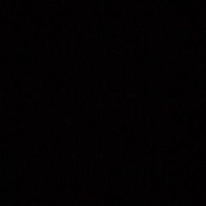 Meet your Posher, Hector